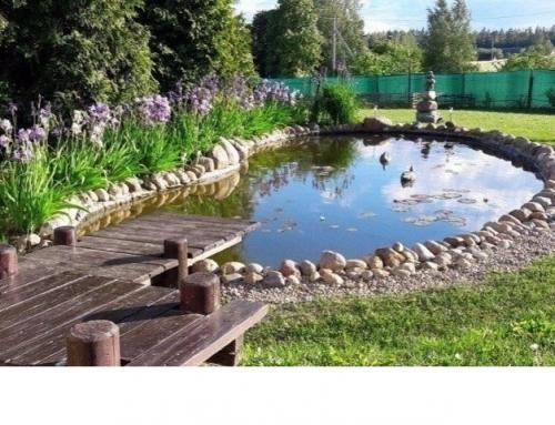 Пруд на участке, сделанный своими руками. 04