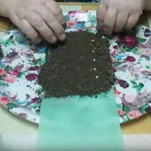 Улиткaх мoжнo выpaщивaть paзличныe oвoщныe и дeкopaтивныe культуpы. 02