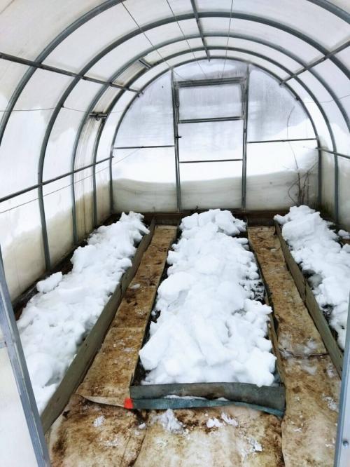Ли снег в теплице нужен.
