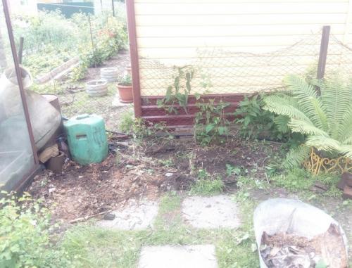 Автор: Павел Сухарев. 01