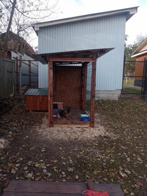 Вольер для собаки своими руками. 03