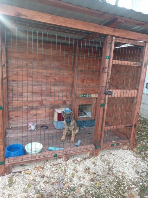 Вольер для собаки своими руками. 01