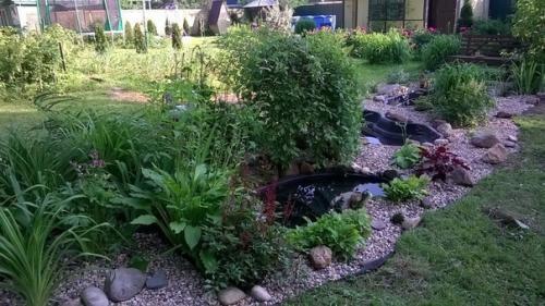 Автор: Елизавета Иванова. 01