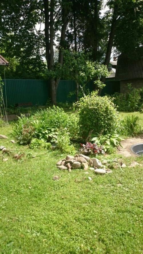 Автор: Елизавета Иванова. 04