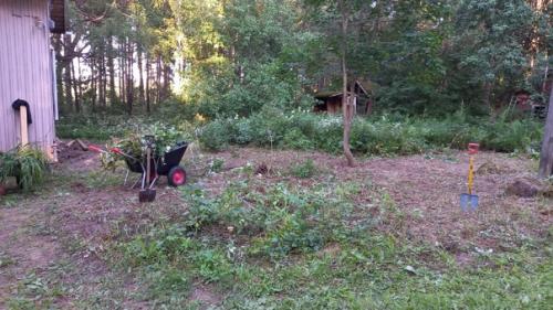 Прислал участник сообщества.