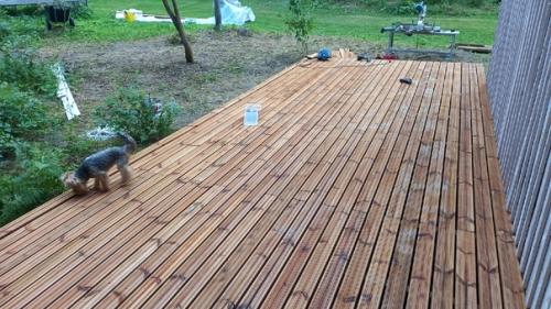 Прислал участник сообщества. 05