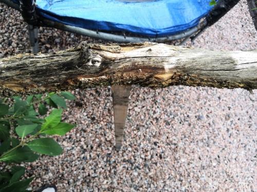 Добрый всем день.