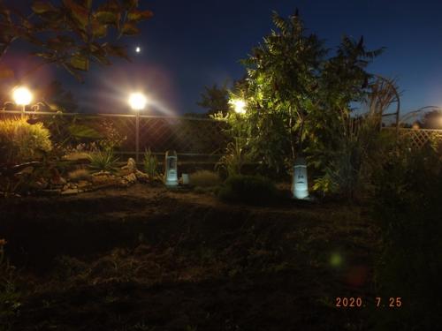 Давно вынашивал идею с садовыми фигурками возле планируемого водоема. 04