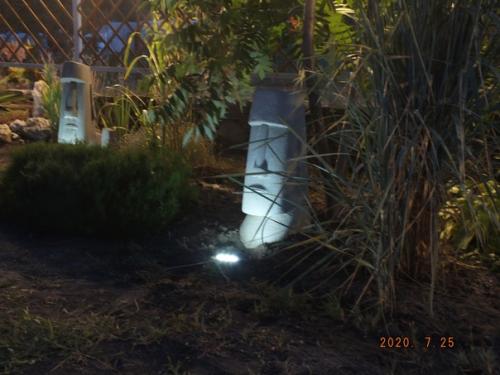 Давно вынашивал идею с садовыми фигурками возле планируемого водоема. 01