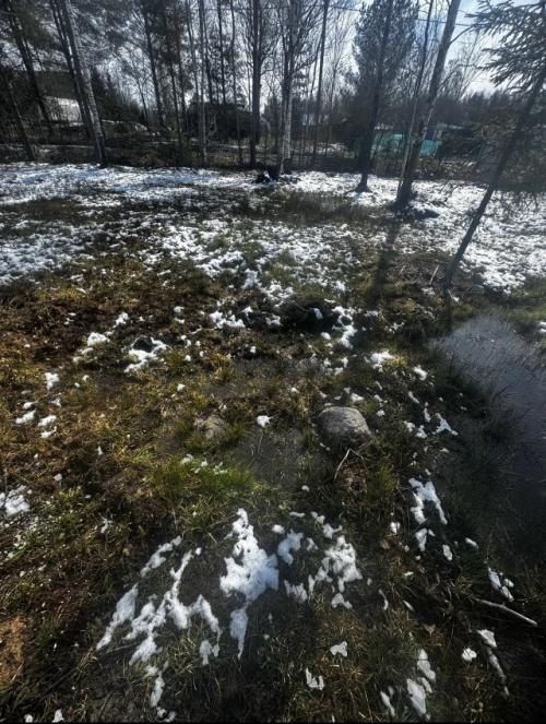 Недавно стал владельцем земельного участка площадью 12 соток. 01 Недавно стал владельцем земельного участка площадью 12 соток. 01
