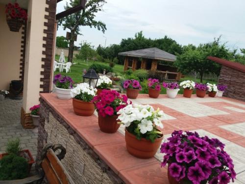 Автор: Оксана Глинская. 06