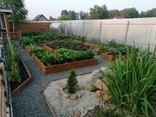 Автор: Александр Сашин. 01