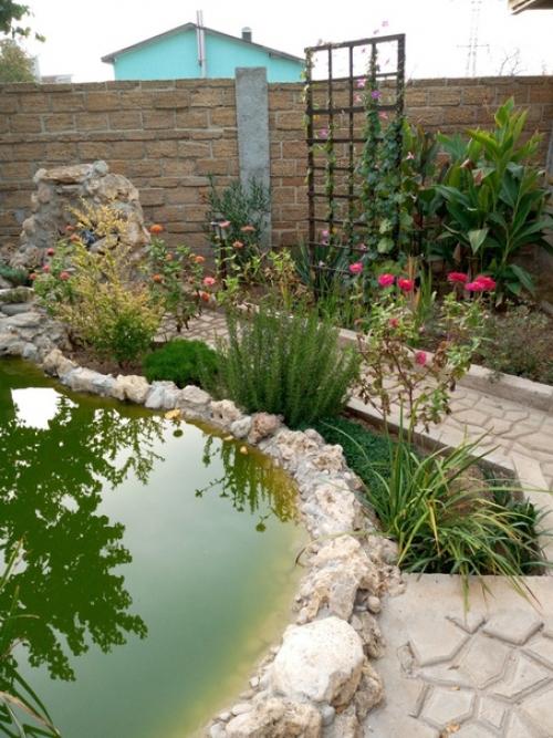 Прислала подписчица сообщества. 06