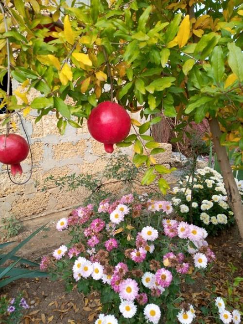 Прислала подписчица сообщества. 05