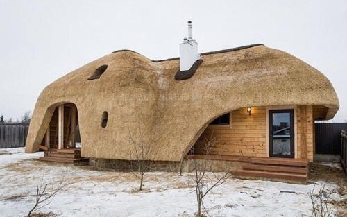 Камышовая крыша - тот случай, когда такой вариант дизайнерской отделки дома является незаурядным и практичным. 01