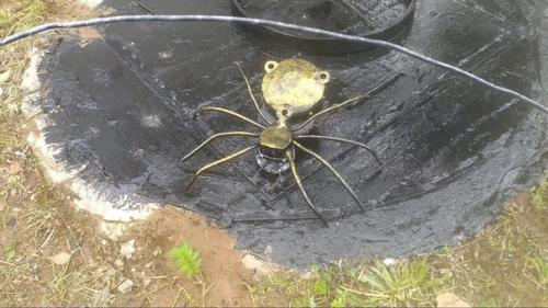 Сам придумал, сам сделал) садовая фигура Паук к Деньгам как вам? 02