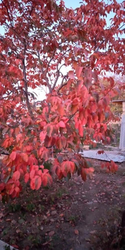 Прислала подписчица сообщества.