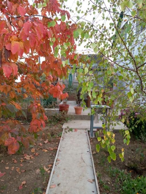 Прислала подписчица сообщества. 02