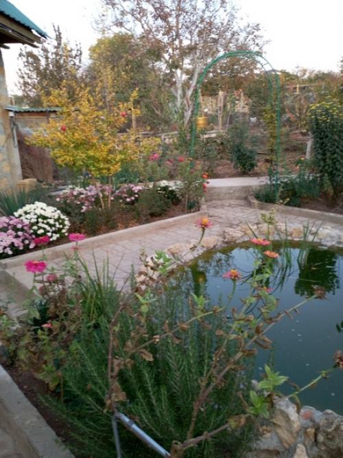 Прислала подписчица сообщества. 03