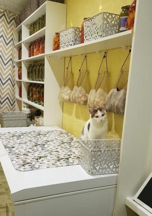 Вот где ручки золотые - запасы трудолюбивой хозяюшки. 05