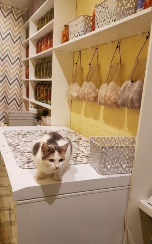 Вот где ручки золотые - запасы трудолюбивой хозяюшки. 08