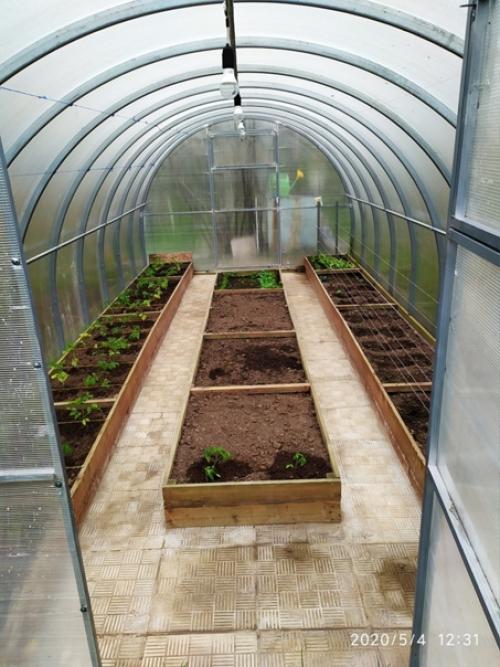 Автор: Сергей Журавлев. 01