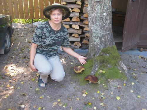 Моя дача - банька, белые растут прямо на участке, альпийская Горка, пруд. 01