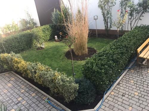 Подскажите пожалуйста как бороться с этим чудом? 03