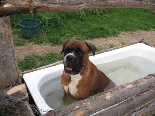 А как ещё спасаться от жары. 03