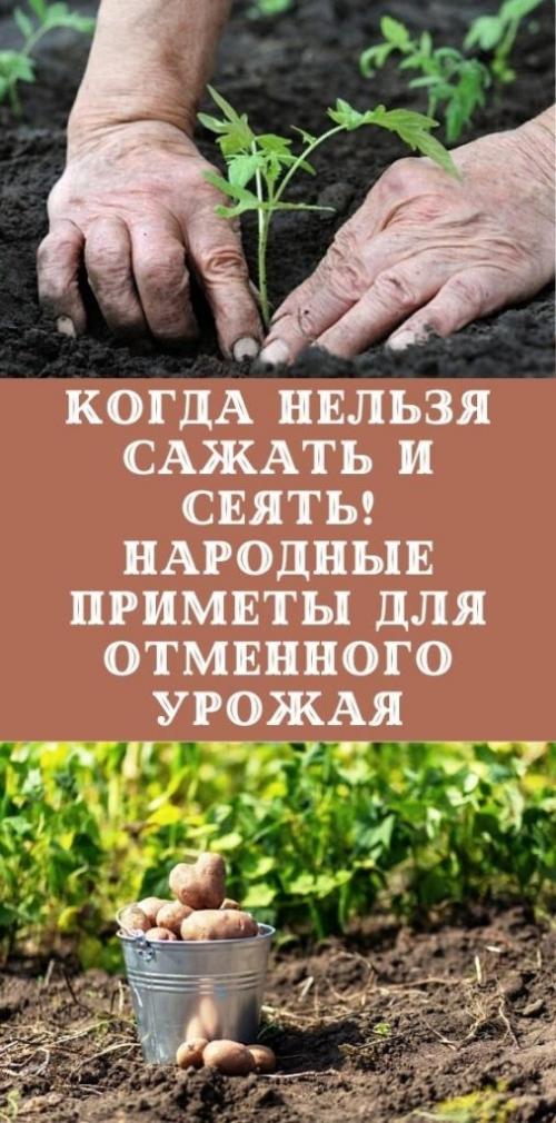Когда не рекомендуется сажать и сеять - народные приметы для дачников.
