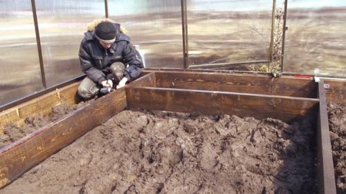 Автор: Дмитрий Губин. 05