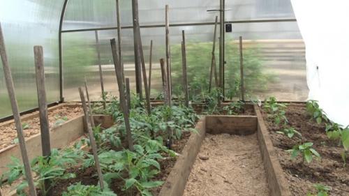 Автор: Дмитрий Губин. 07