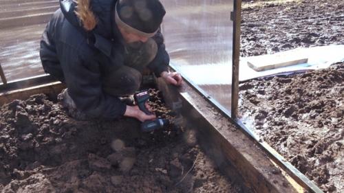 Автор: Дмитрий Губин. 04