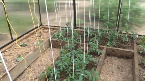 Автор: Дмитрий Губин. 09