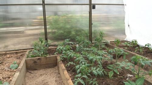 Автор: Дмитрий Губин. 08