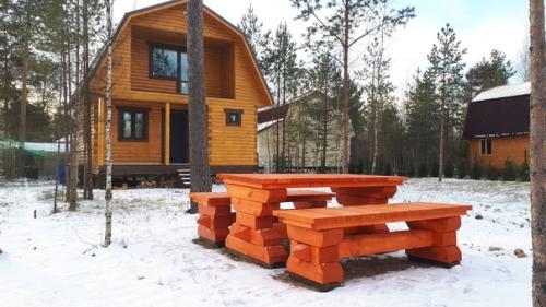 Первый опыт.  Сделал самостоятельно по картинке из интернета за пару выходных. 03