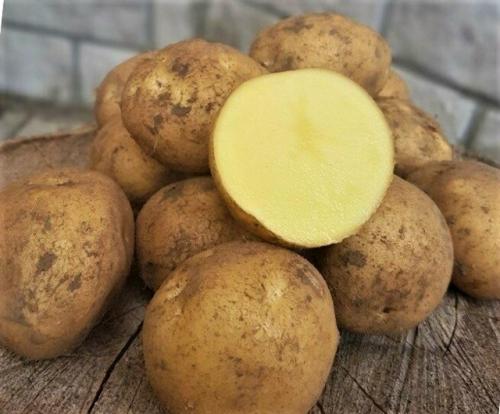 8 самых скороспелых сортов картофеля, урожай уже через 2 месяца. 01