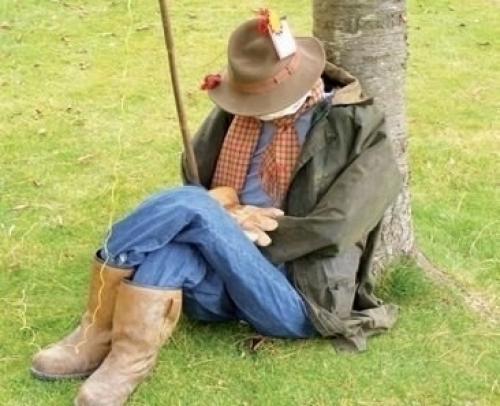 Пугало для дачи - несколько интересных вариантов. 06