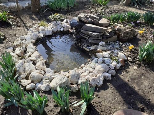 Купил на Aliexpress фонтан на солнечных батареях, вместо разбрызгивателя присоединил пластиковую трубку и проложил её в камнях.