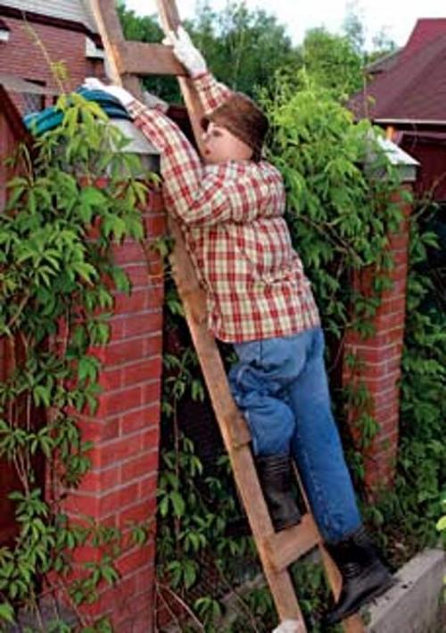 Пугало для дачи - несколько интересных вариантов.
