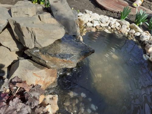 Купил на Aliexpress фонтан на солнечных батареях, вместо разбрызгивателя присоединил пластиковую трубку и проложил её в камнях. 01