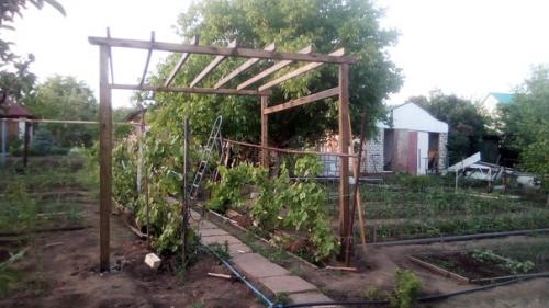 Автор: Олег Титов. 01