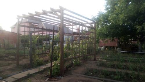 Автор: Олег Титов. 03