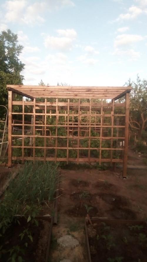 Автор: Олег Титов. 04