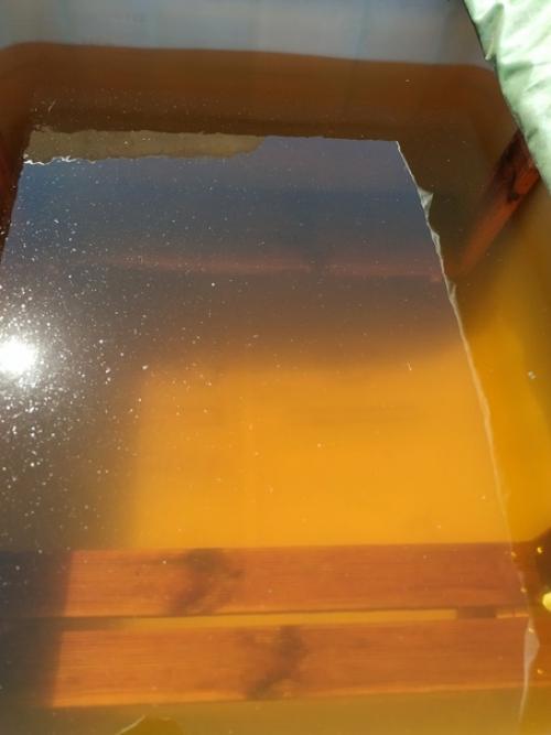 В это лето похоже бассейн не понадобится. 02