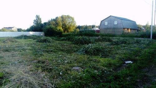 Здравствуйте, подскажите пожалуйста купили участок, в правой части росли деревья, спилили, под ними оказалась низина (~1.