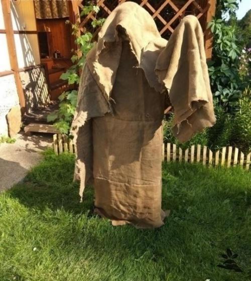 И мы у себя такого домашнего монстра сделали. 01