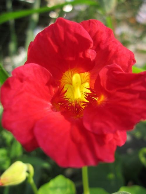 Прислала подписчица сообщества. 06