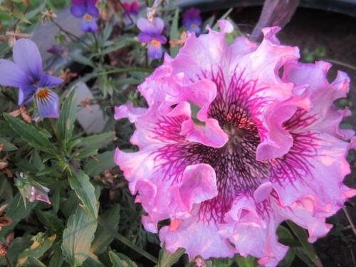 Прислала подписчица сообщества.