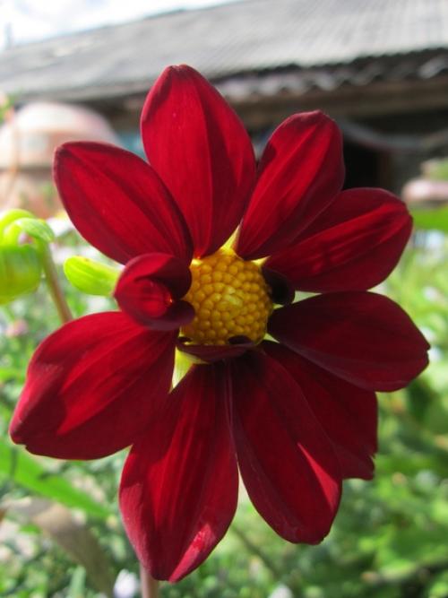 Прислала подписчица сообщества. 09